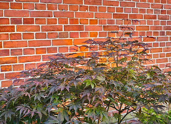 Gartenmauer Mauerbau Steinmauer