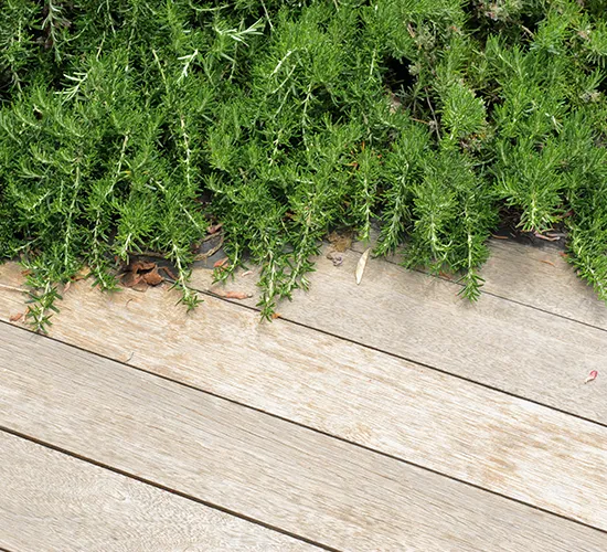 Holzbau Holzzaun Holzboden Gartenhaus