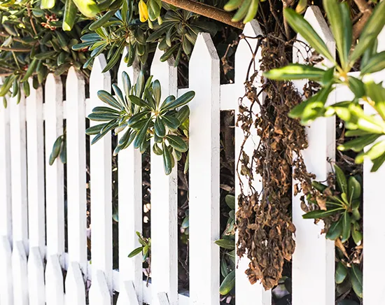 Zaun Gartenzaun Zaunbau