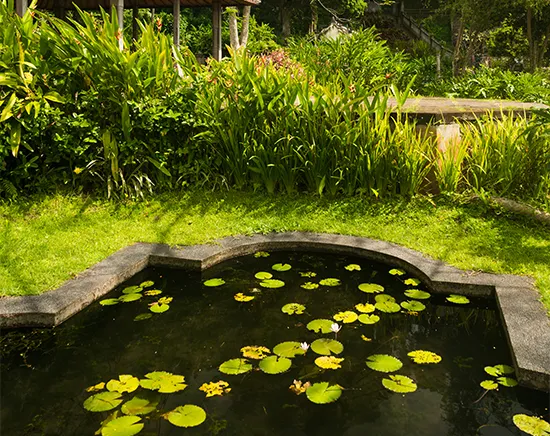 Teichbau Gartenteich Teich